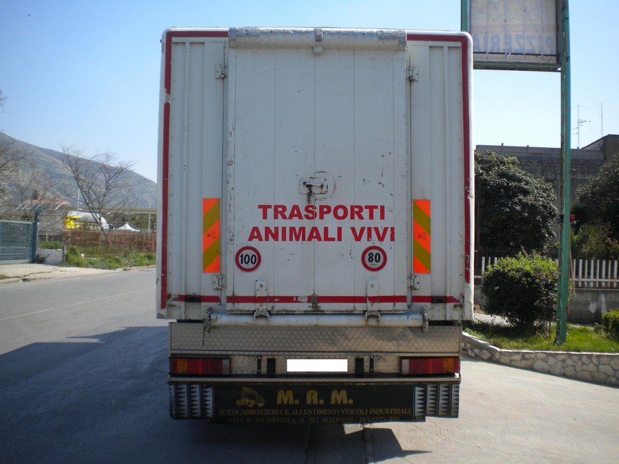 Trasporto di animali vivi, il Ministero della Salute fornisce alcuni chiarimenti sui rinnovi dei certificati d’idoneità dei conducenti
